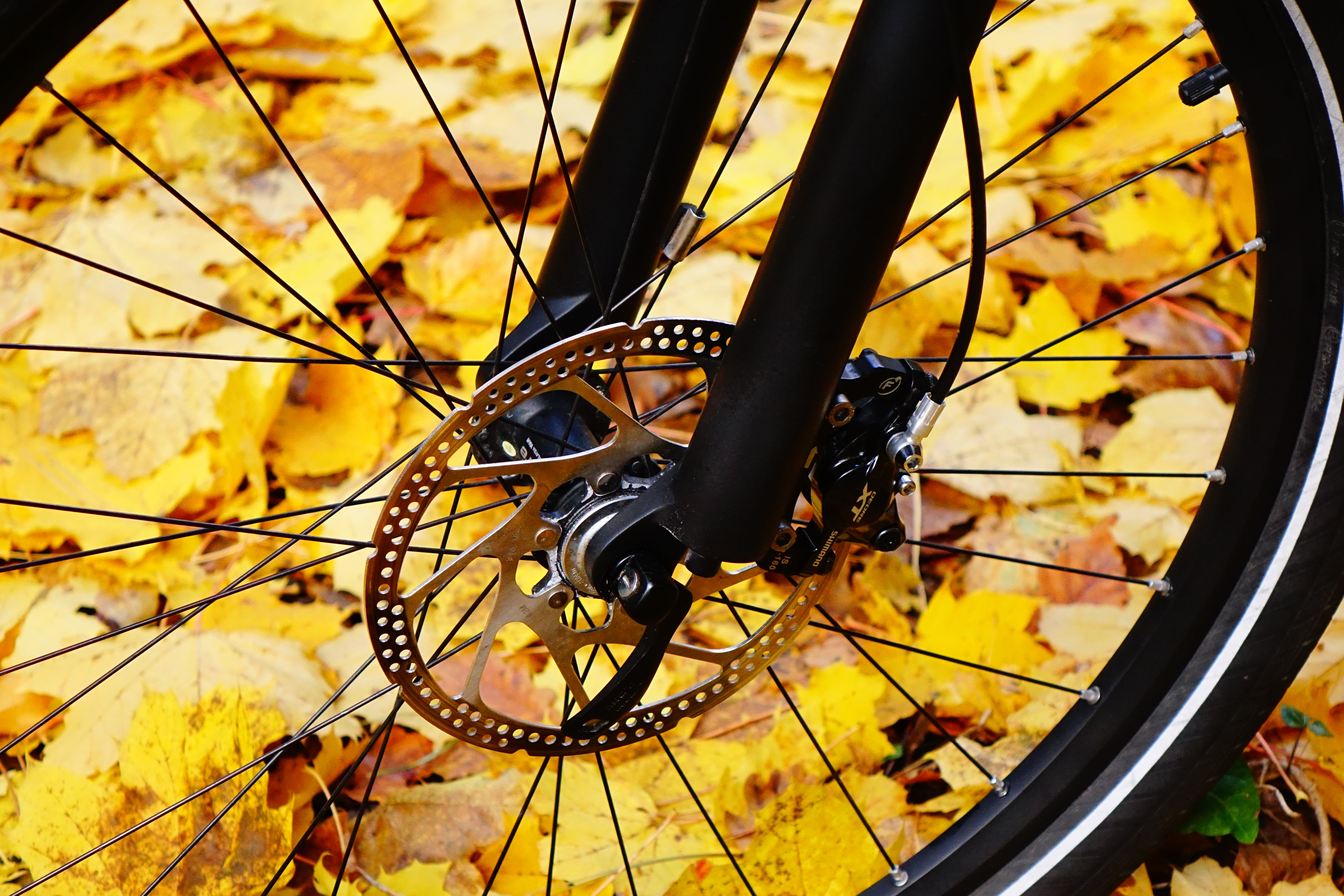 Gâchette, poignée ou capteur de pédalier pour votre vélo? – à bicyclette  Paulette