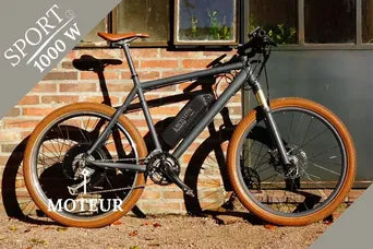 kit vélo électrique 1000 W roue arrière