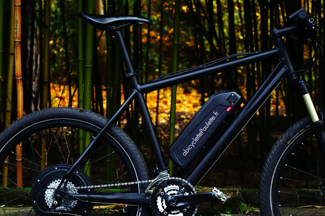 vélo électrique noir mat à bicyclette Paulette