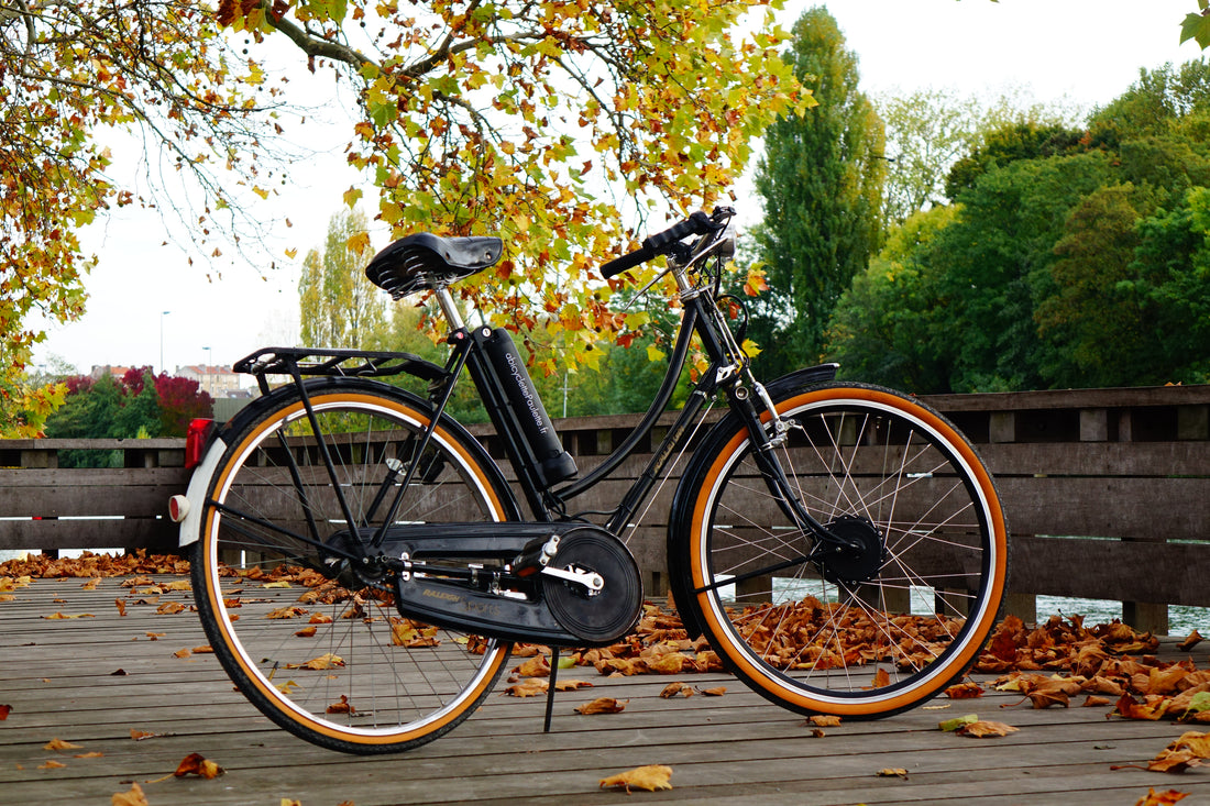 vélo électrique ou trottinette électrique