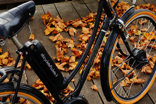kit vélo électrique à bicyclette Paulette