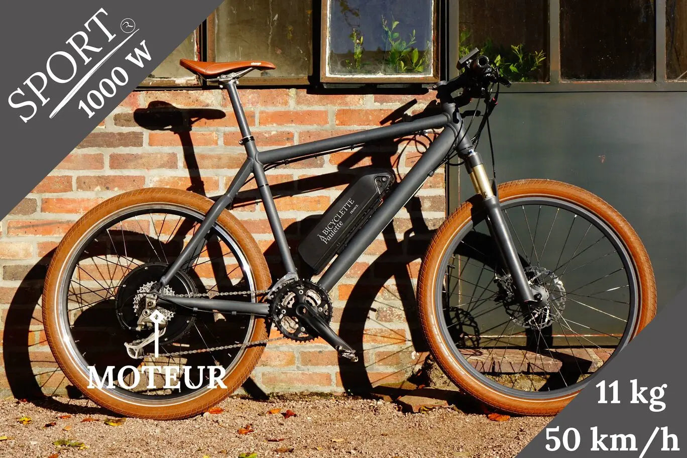 kit vélo électrique 1000 W rapide et puissant avec à bicyclette Paulette