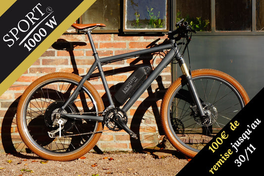 KIT VÉLO ÉLECTRIQUE 1000 W - SPORT