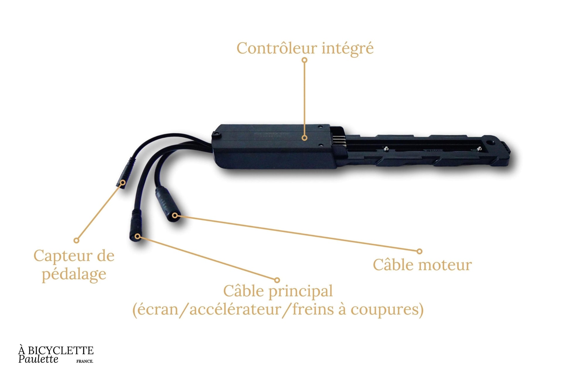 Contrôleur vélo électrique 36v et 48v – à bicyclette Paulette Contrôleur vélo électrique 36v et 48v – à bicyclette Paulette