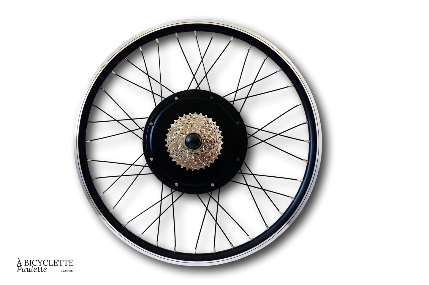 kit vélo électrique 1000 W décathlon
