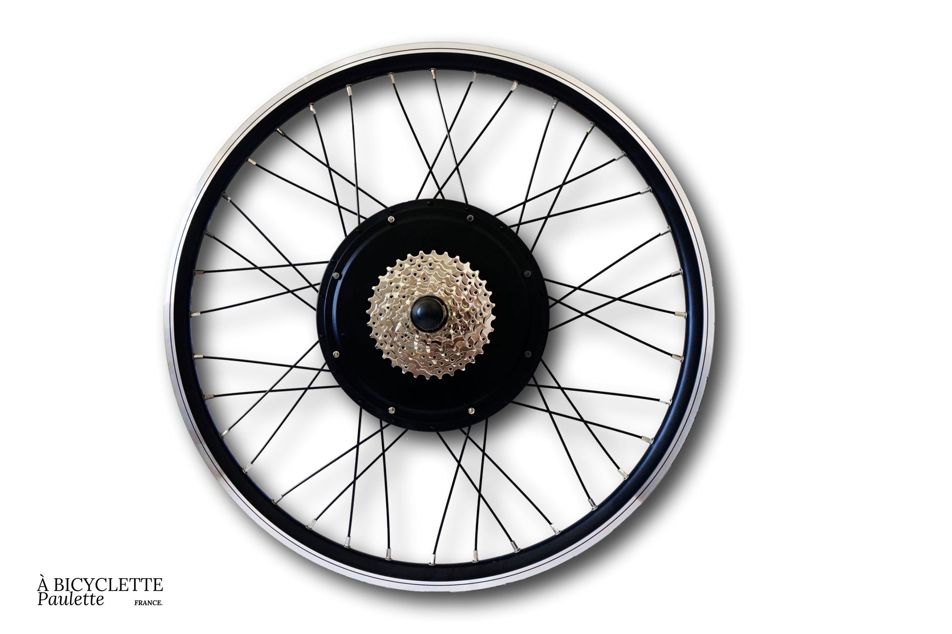kit vélo électrique 1000 W décathlon